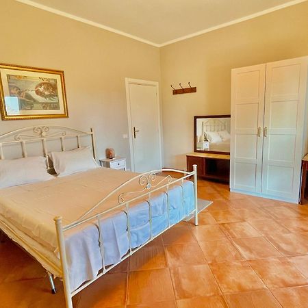 B&B Terre Toscane 齐奇亚诺 外观 照片