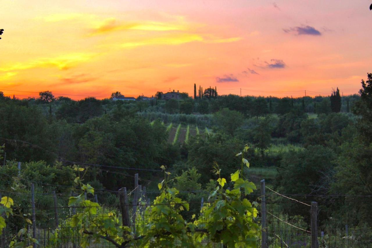 B&B Terre Toscane 齐奇亚诺 外观 照片