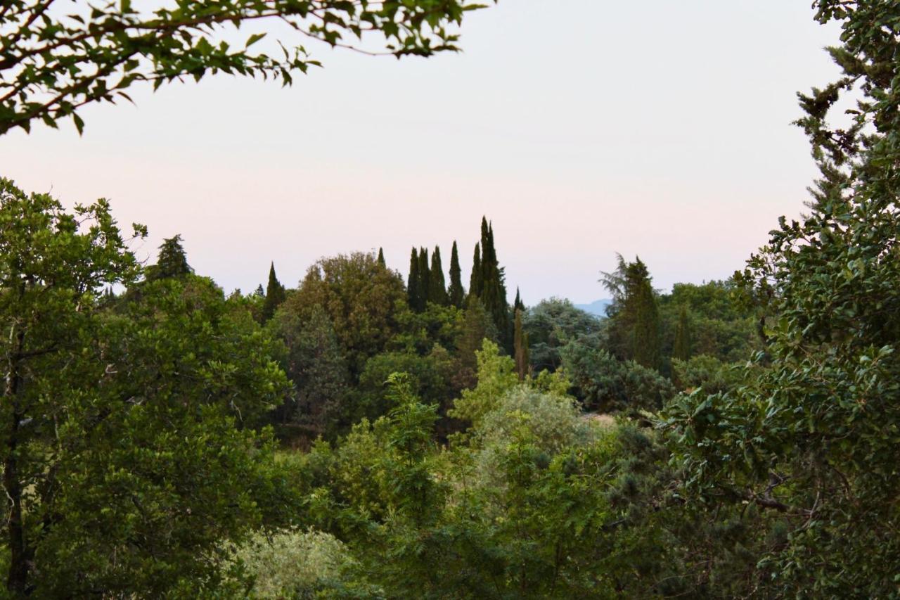 B&B Terre Toscane 齐奇亚诺 外观 照片
