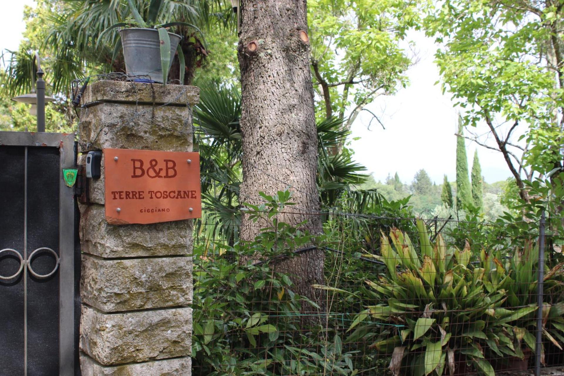 B&B Terre Toscane 齐奇亚诺 外观 照片